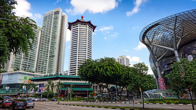 新加坡管理大学商科